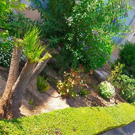 Seaview Dream Albir