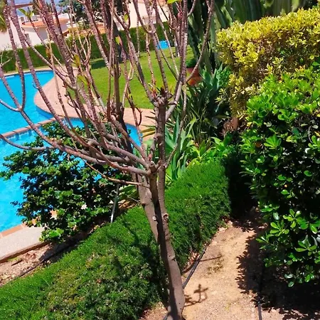 Seaview Dream Albir Альбир