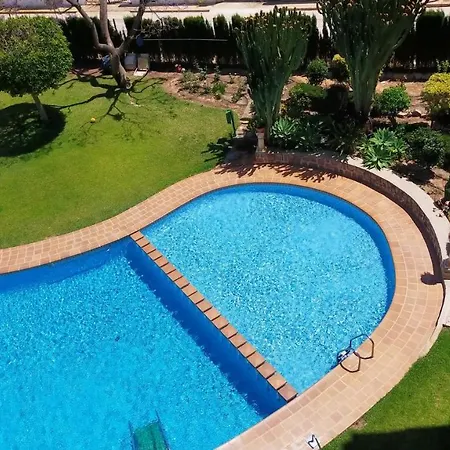 Seaview Dream Albir Альбир